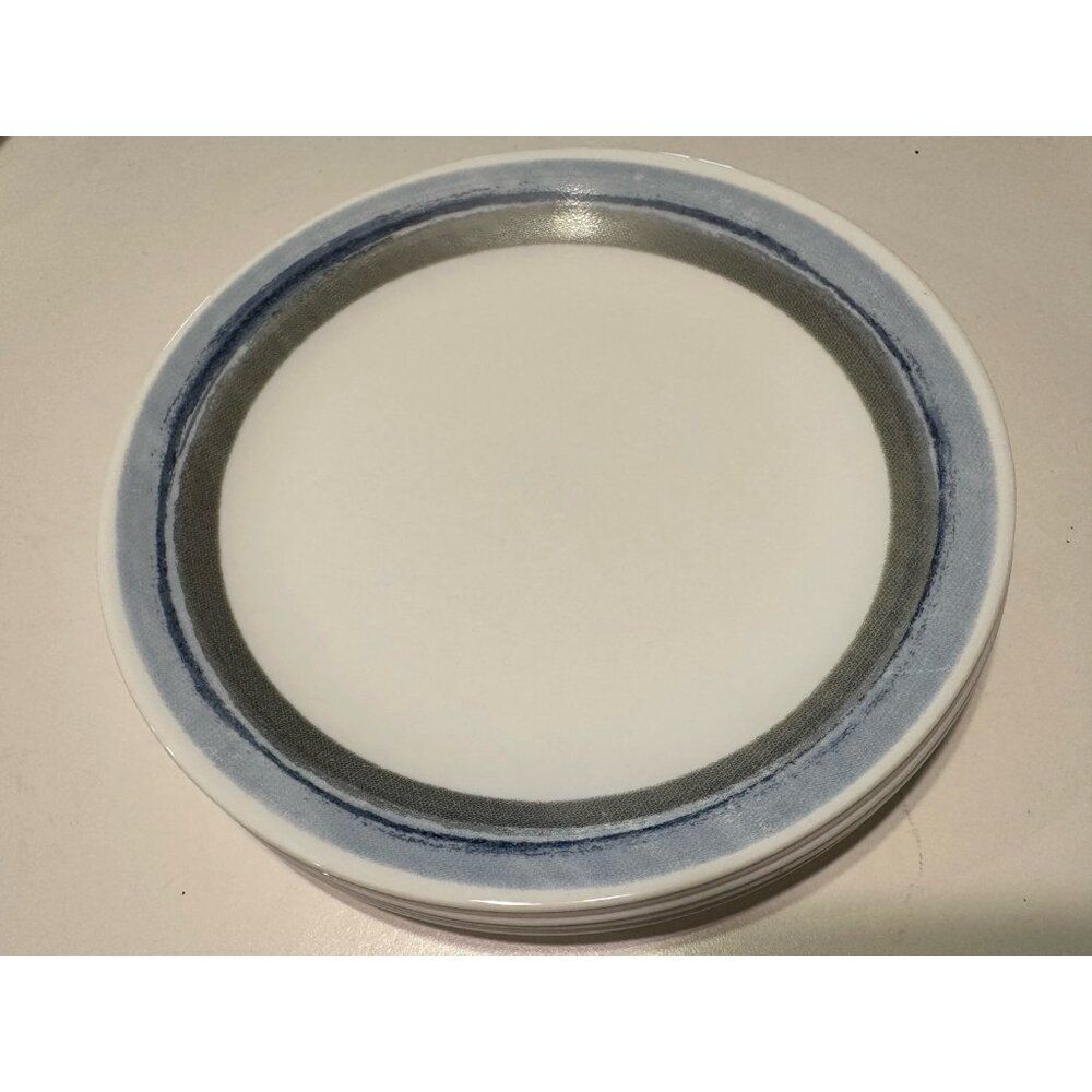 6 - 8.5” Corelle Elemental Dawn dinner Lunch plate Blue Gray Stripe Circle USA